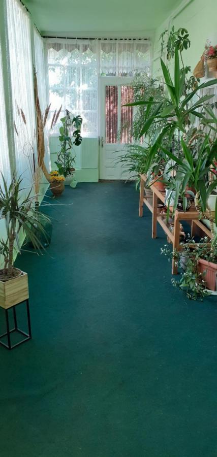 Ferienwohnung Marika Vendeghaz Abádszalók Exterior foto