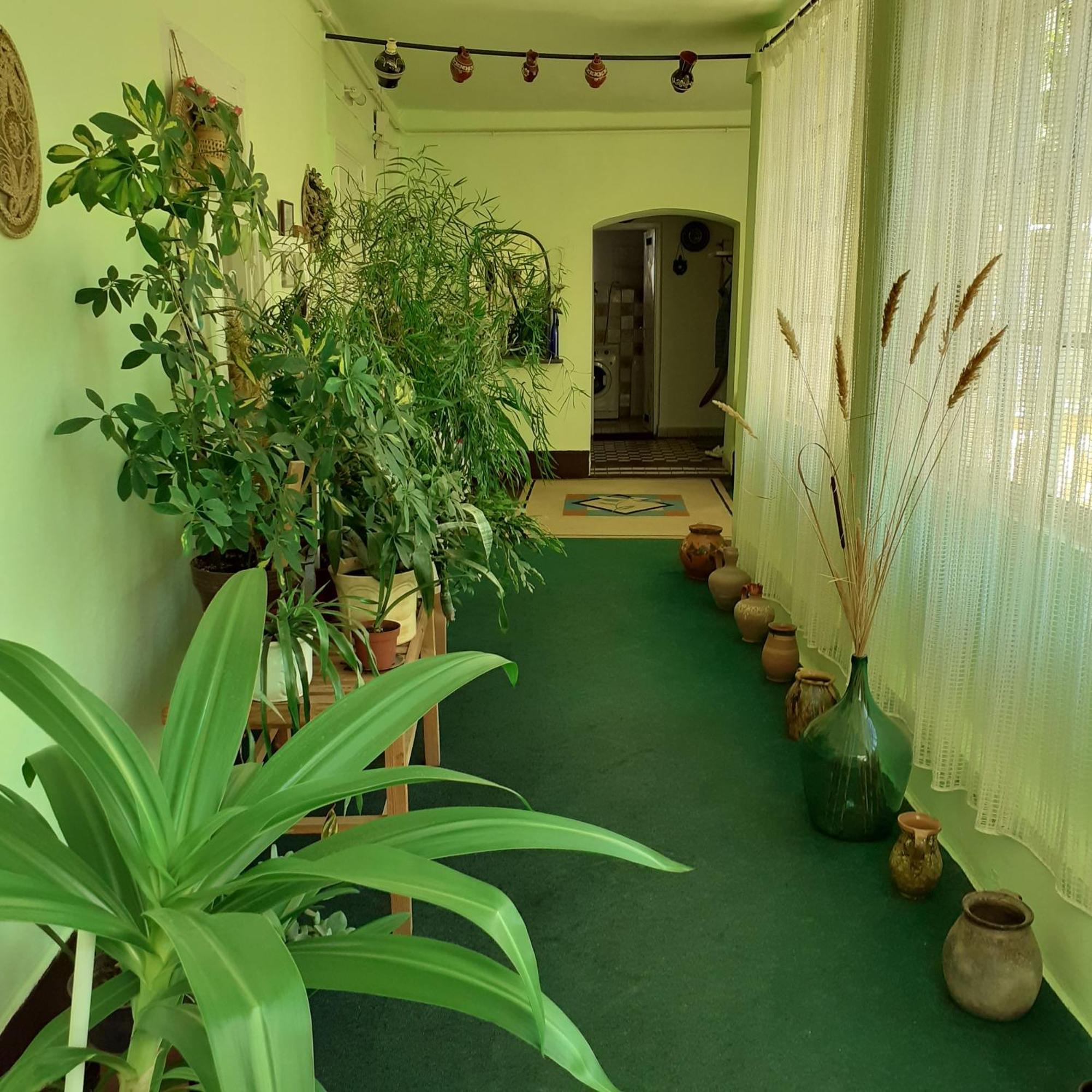 Ferienwohnung Marika Vendeghaz Abádszalók Exterior foto